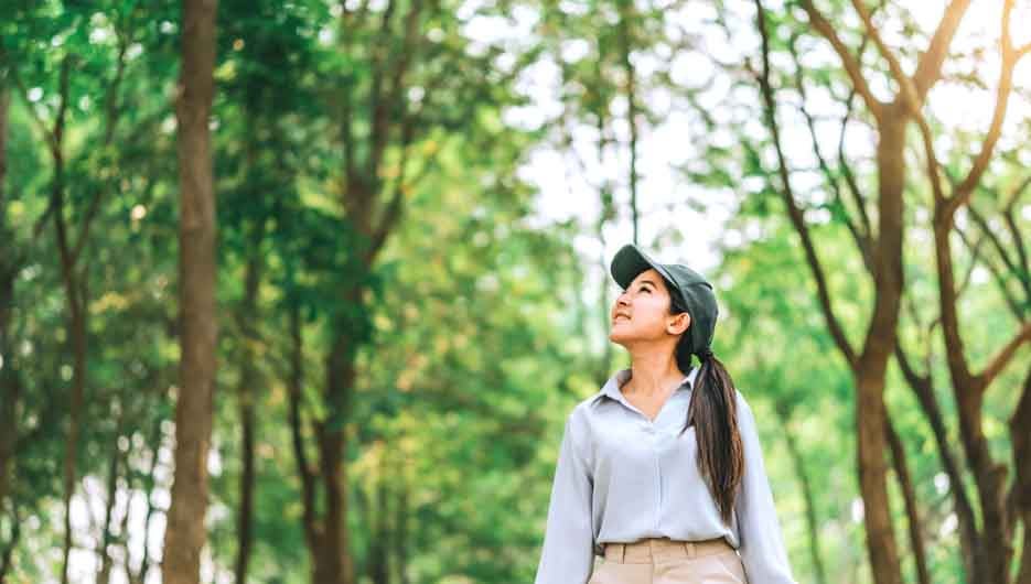 Asian women raise their hands to nature in the forest .people protect from deforestation and pollution or climate change Concept to love nature and tree . environment ecology and Earth Day concept